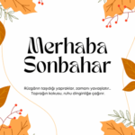 Sonbaharın Müzik Rüzgarı: Yaprak Dökümüyle Gelen Ritmler